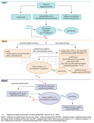 OBR. 1 Algoritmus léčby nemocných s axSpA; podle [10] – Ramiro, et al., 2023. ASDAS – Ankylosing Spondylitis Disease Activity Score; axSpA – axiální spondyloartritida; bDMARD