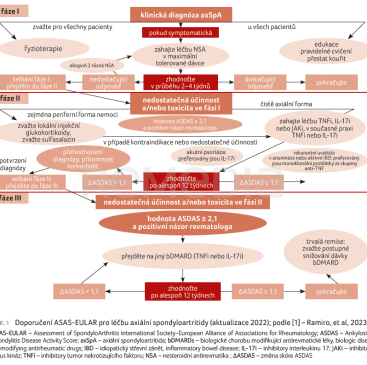 OBR. 1 Doporučení ASAS-EULAR pro léčbu axiální spondyloartritidy (aktualizace 2022); podle [1] – Ramiro, et al, 2023.
