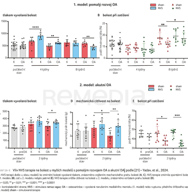 GRAF 2A–E&nbsp;Vliv NVS terapie na&nbsp;bolest u&nbsp;myších modelů s&nbsp;pomalým rozvojem OA a&nbsp;akutní OA