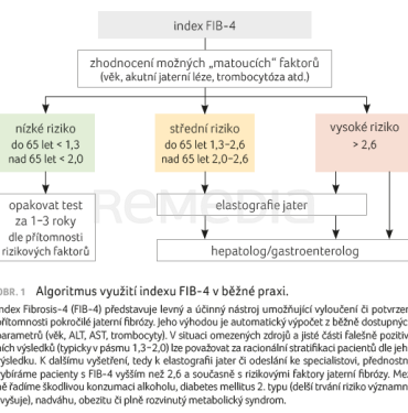 OBR. 1 Algoritmus využití indexu FIB-4 v běžné praxi.
