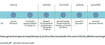 OBR. 1 Aplikace genové terapie za&nbsp;hospitalizace