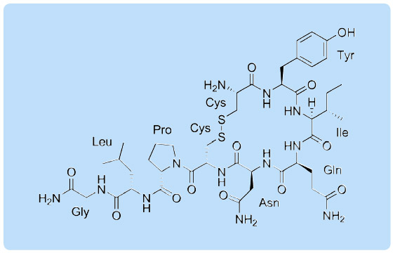   Obr. 1 Chemický strukturní vzorec oxytocinu.