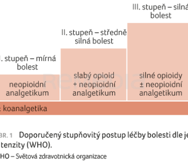 OBR. 1 Doporučený stupňovitý postup léčby bolesti