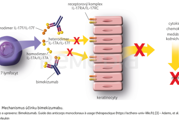OBR. 1 Mechanismus účinku bimekizumabu.