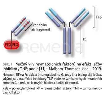 OBR. 1 Možný vliv revmatoidních faktorů na&nbsp;efekt léčby