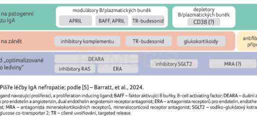 OBR. 1 Pilíře léčby IgA nefropatie