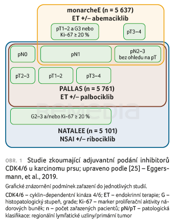 OBR. 1 Studie zkoumající adjuvantní podání inhibitorů