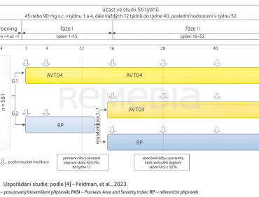 OBR. 1 Uspořádání studie