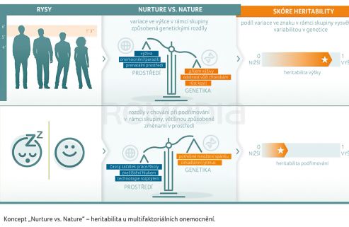 OBR. 2 Koncept „Nurture vs. Nature“ – heritabilita u multifaktoriálních onemocnění.