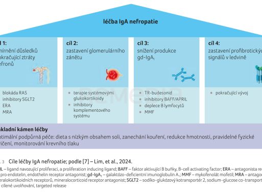 OBR. 3 Cíle léčby IgA nefropatie