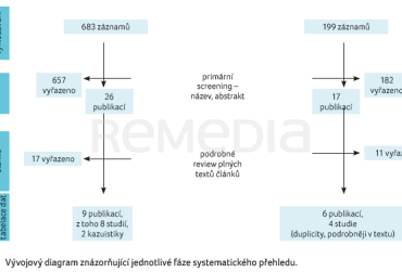 OBR. 3 Vývojový diagram znázorňující jednotlivé fáze systematického přehledu