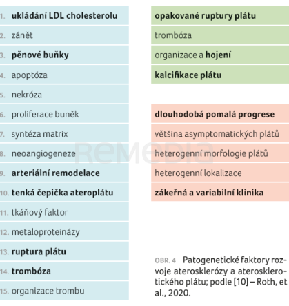 OBR. 4 Patogenetické faktory