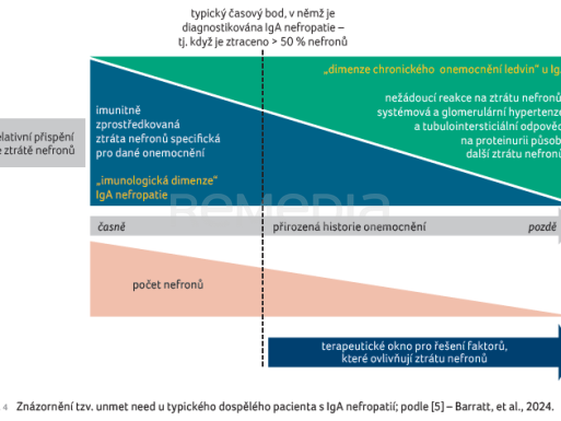 OBR. 4 Znázornění tzv. unmet need u&nbsp;typického dospělého pacienta s&nbsp;IgA nefropatií