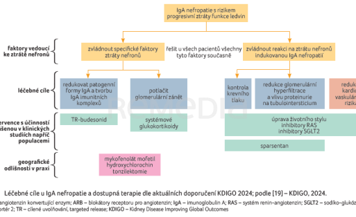 OBR. 5 Léčebné cíle u IgA nefropatie a dostupná terapie dle aktuálních doporučení KDIGO 2024 OBR. 5 Léčebné cíle u IgA nefropatie a dostupná terapie dle aktuálních doporučení KDIGO 2024