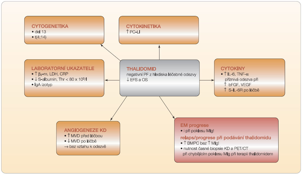  Obr. 3  Negativní prognostické faktory z hlediska odpovědi k léčbě thalidomidem.