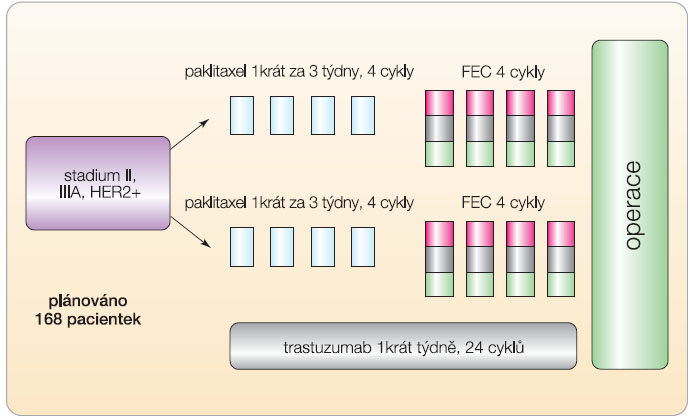  Obr. 6  Design klinické studie fáze III s neoadjuvantním podáním trastuzumabu u HER2+ pacientek; podle [31] – Buzdar, et al., 2005. 