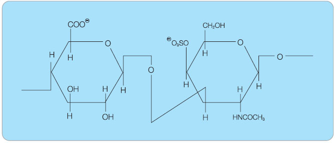  Obr. 1  Disacharidová jednotka chondroitin-4-sulfátu složená z kyseliny glukuronové a galaktosamin-4-sulfátu. 