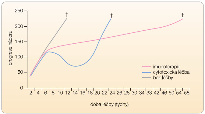 Graf 1  Znázornění možné protinádorové odpovědi po aplikaci imunoterapie v porovnání s chemoterapií; nástup účinku může být pomalejší, a přestože imunoterapie nemusí mít vliv na přežívání bez progrese, může mít příznivý vliv na celkovou dobu přežití (křížek znamená úmrtí); upraveno podle [26] – Wolchok, et al., 2009. 