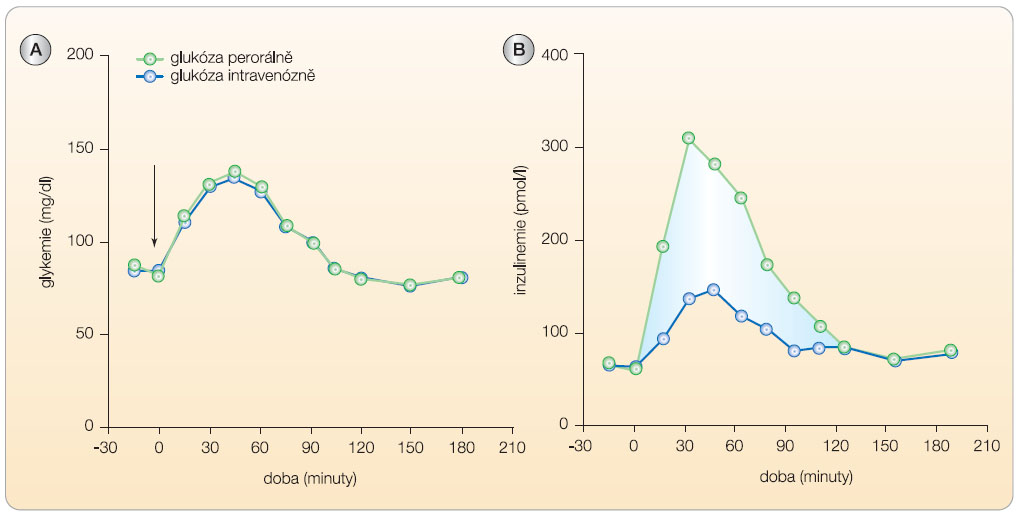 Graf 1  Znázornění plazmatické koncentrace inzulinu po perorálním podání glukózy ve srovnání s intravenózním podáním. 