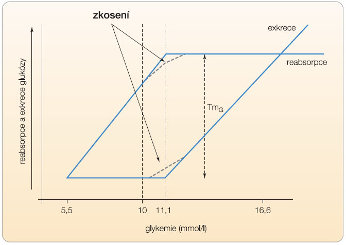Graf 1  Závislost renální reabsorpce/exkrece glukózy na hladině plazmatické glukózy; podle [9] – DeFronzo, 2008. 