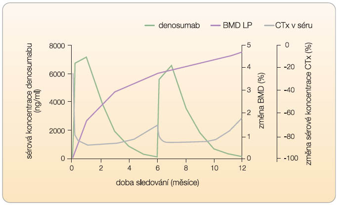 Graf 1 Farmakokinetické a farmakodynamické vlastnosti denosumabu. Při subkutánním podání denosumabu v dávce 60 mg v intervalu 6 měsíců dochází k signifikantnímu (až o 83 %) snížení kostního obratu (pokles změny sérové koncentrace CTx) již během 3 dnů po aplikaci. Maximální sérové koncentrace denosumabu je dosaženo během 10 dnů po podání a klesá během 4–5 měsíců. Při opakovaném podání se farmakokinetické vlastnosti denosumabu nemění, denzita kostního minerálu v oblasti bederní páteře roste; podle [5, 19, 20] – McClung, et al., 2006, European Medicines Agency, Jang, et al., 2006.
