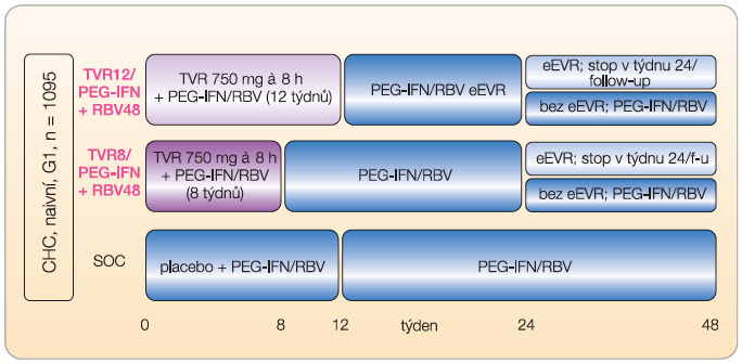 Obr. 1  Schéma studie ADVANCE – dosud neléčené osoby s genotypem HCV 1; PEG-IFN – peginterferon a-2b, TVR – telaprevir, RBV – ribavirin, eEVR – extended early virological response = prodloužená časná virologická odpověď, SOC – kontrolní větev; podle [8] – Jacobson, et al., 2011.