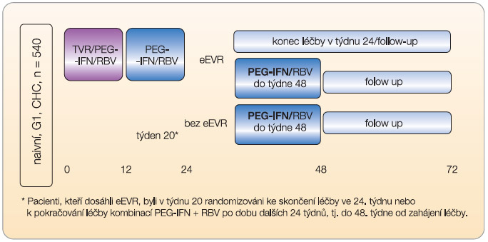 Obr. 2  Schéma studie ILLUMINATE; PEG-IFN – peginterferon a-2b, RBV – ribavirin, eEVR – extended early virological response = prodloužená časná virologická odpověď; podle [9] – Sherman, et al., 2011.
