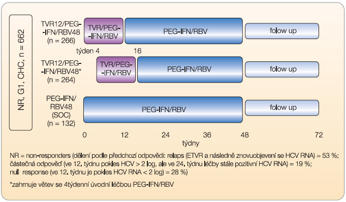 Obr. 4  Schéma studie REALIZE: telaprevir u non-responderů na předchozí protivirovou léčbu; PEG-IFN – peginterferon a-2b, RBV – ribavirin, TVR – telaprevir; podle [11] – Zeuzem, et al., 2011.