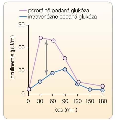 Inkretinový efekt – hladiny inzulinu v krvi po podání glukózy perorálně a intravenózně u neobézních zdravých osob; upraveno podle [8] – Perley, et al., 1967
