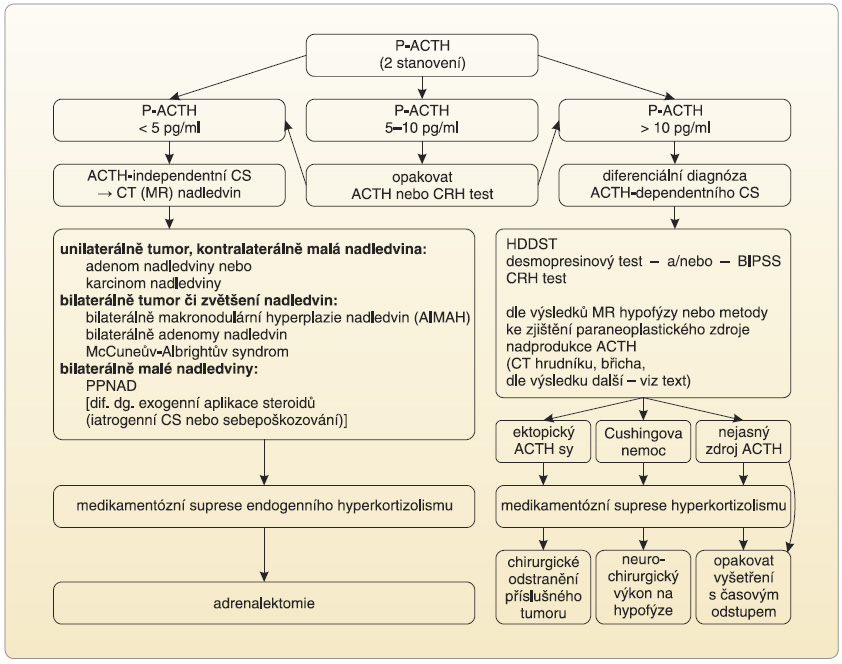 Obr. 3 Algoritmus diferenciální diagnostiky a léčby Cushingova syndromu. ACTH – adrenokortikotropní hormon; AIMAH – ACTH-independentní makronodulární adrenální hyperplazie (ACTH independent macronodular adrenal hyperplasia); BIPSS – bilaterální katetrizace sinus petrosi inferiores s odběry krve na stanovení ACTH (bilateral inferior petrosal sinuses sampling); CRH – kortikoliberin (corticotropin releasing hormone); CS – Cushingův syndrom; CT – počítačová tomografie (computer tomography); HDDST – dexametazonový supresní test s vysokou dávkou dexametazonu (high dose dexamethasone suppression test); MR – magnetická rezonance; P-ACTH – plazmatický adrenokortikotropní hormon; PPNAD – primární pigmentovaná nodulární adrenální nemoc (primary pigmented nodular adrenal disease)