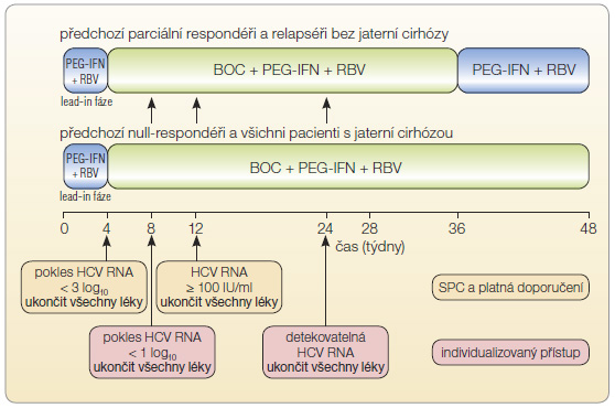 Obr. 3 Doporučený léčebný režim s použitím bocepreviru – možnosti individualizace; podle [26, 27] – SPC VICTRELIS, 2013, Massoumy, Manns, 2013. BOC – boceprevir; HCV RNA – ribonukleová kyselina viru hepatitidy C; PEG-IFN – pegylovaný interferon α; RBV – ribavirin; SPC – souhrn údajů o přípravku
