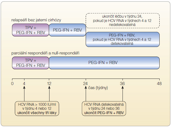 Obr. 4 Režim podávání telapreviru u opakovaně léčených osob; podle [23] – SPC Incivo, 2013. HCV RNA – ribonukleová kyselina viru hepatitidy C; PEG-IFN – pegylovaný interferon α; RBV – ribavirin; TPV – telaprevir