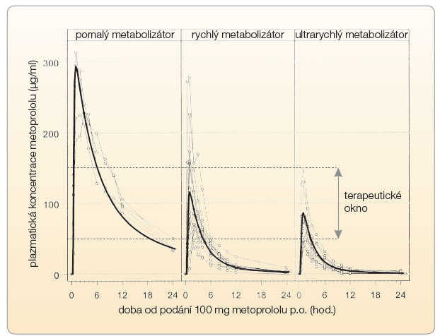 Graf 2 Vliv polymorfismu CYP2C9 na expozici (AUC) metoprololu; podle [8, 9] – Kirchheiner, et al., 2004, Seeringer, et al., 2008. Mezi skupinou rychlých a pomalých metabolizátorů existují více než desetinásobné interindividuální rozdíly v expozici. U pomalých metabolizátorů zůstává metoprolol v terapeutickém rozmezí 15–20 hodin, u ultrarychlých pouze 2–3 hodiny.
