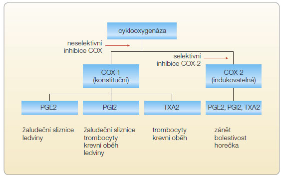 Obr.1 Úloha COX-1 a COX-2 při syntéze prostaglandinů a její inhibice.  COX – cyklooxygenáza; PGE2 – prostaglandin E2; PGI2 – prostaglandin I2; TXA2 – tromboxan A2