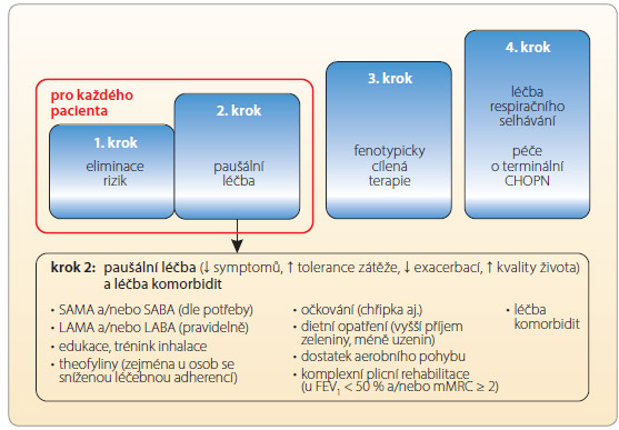 Obr. 2 Paušální léčba CHOPN dle Českého doporučení diagnostiky a léčby stabilní CHOPN; podle [36] – Koblížek, et al., 2013. FEV1 – hodnota usilovně vydechnutého objemu za první sekundu; CHOPN – chronická obstrukční plicní nemoc; LABA – dlouhodobě působící β2-mimetika; LAMA – dlouhodobě působící anticholinergika; mMRC – modifikovaná stupnice dle Medical Research Council; SABA – krátkodobě působící β2-mimetika; SAMA – krátkodobě působící anticholinergika