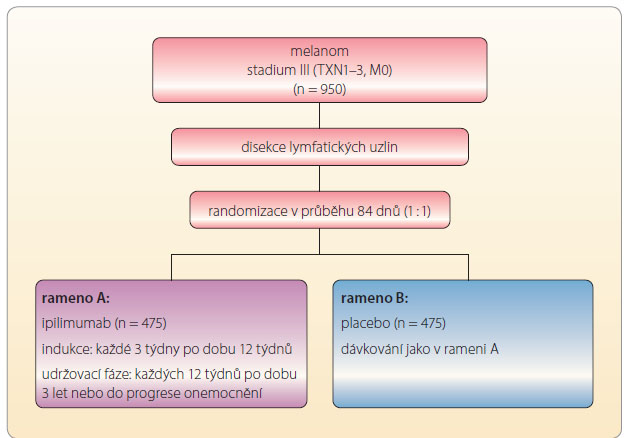Obr. 1 Design studie EORTC18071. Ipilimumab byl podáván ve srovnání s placebem v adjuvantním režimu u pacientů s melanomem ve stadiu III; podle [15] – Eggermont, et al., 2014. M0 – nejsou vzdálené metastázy; TXN 1–3 – pacienti ve stadiu III (s výjimkou metastáz v lymfatické uzlině ≤ 1 mm a intranzitních metastáz)