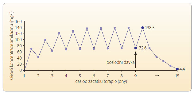 Graf 2 Počítačem asistovaná simulace oscilace a skutečně naměřené hladiny amikacinu při režimu once- -daily s hladinou stoupající do vysazení léku; podle [6] – Tesfaye, et al., 2007.