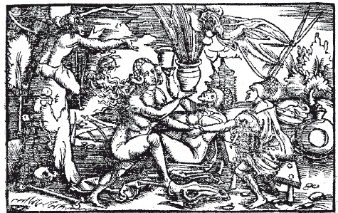 Obr. 6 Sabat čarodějnic, při kterém byly využívány čarodějnické masti obsahující výtažky z lilkovitých rostlin. Zdroj: archiv autora.
