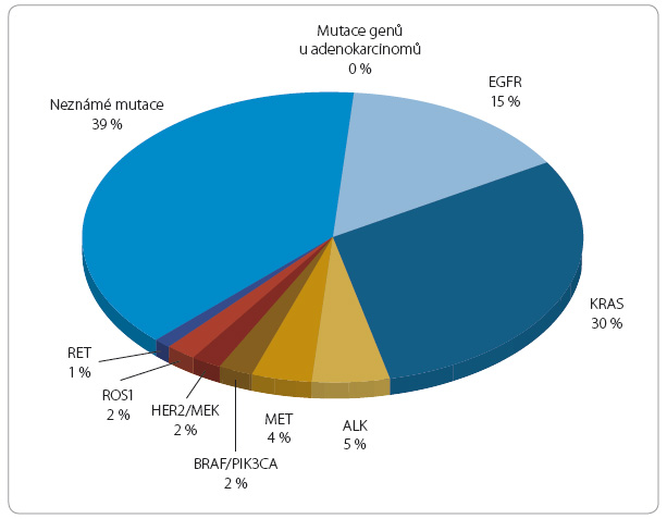Graf 1 Genové alterace plicních adenokarcinomů; podle [35] – Alamgeer, et al., 2013. ALK – anaplastic lymphoma kinase; BRAF/PIK3CA – B-raf proto-oncogene/phosphatidylinositol- -4,5-bisphosphate 3-kinase; EGFR – epidermal growth factor receptor; HER2/MEK – epidermal growth factor/mitogen-activated protein kinase; KRAS – Kirsten rat sarcoma viral oncogene; MET – multi- target ed tyrosine kinase; RET – rearranged during transfection proto-oncogene; ROS – reactive oxygen species