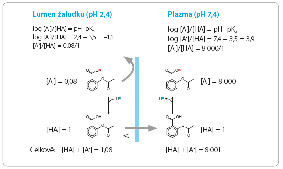 Obr. 2 Příklad distribuce slabé kyseliny (kyseliny acetylsalicylové, pKa 3,5) v závislosti na pH prostředí.  [A‐  ] – koncentrace ionizované formy v rovnovážném stavu; [HA] – koncentrace neionizované formy  v rovnovážném stavu
