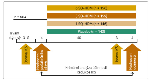 OBR. 3 Schéma studie MT‑02; podle [7] – Mosbech, et al., 2014. IKS – inhalační kortikosteroidy; SQ-HD M – standardní kvalita-roztoči domácího prachu, standard quality-house dust mites