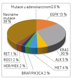 GRAF 1 řídící genové mutace u adenokarcinomu plic; podle [15] – Mok, et al., 2015. Alk – anaplastic lymphoma kinase; BrAF / pik3CA – B‑raf proto‑oncogene/phosphatidylinositol‑ ‑4,5‑bisphosphate 3‑kinase; eGFr – epidermal growth factor receptor; her2/Mek – epidermal growth factor/mitogen activated protein kinase; krAs – kirsten rat sarcoma viral oncogene; MeT – multitargeted tyrosine kinase; reT – rearranged during transfection proto‑oncogene; ros – reactive oxygen species