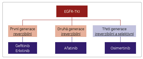 OBR. 1 rozdělení tyrozinkinázových inhibitorů podle vývoje a působení; podle [6] – Cross, et al., 2014. eGFr‑Tki – tyrozinkinázové inhibitory zaměřené na receptor pro epidermální růstový faktor, epidermal growth factor receptor‑tyrosine kinase inhibitor EGFR-TKI první generace reverzibilní Druhá generace ireverzibilní Třetí generace ireverzibilní a selektivní Gefi tinib erlotinib afatinib osimertinib OBR. 2 předchozí léčba pacienta probíhající od dubna 2011 do března 2016 cílenou léčbou gefi tinibem a následně kombinovanou chemoterapií a udržovací terapií (z CT archivu Fn Brno).