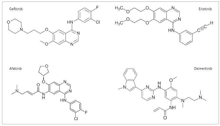OBR. 1 Chemická struktura inhibitorů receptoru pro epidermální růstový faktor; podle Wikipedia, www.wikipedia.org.