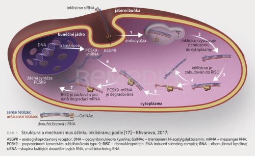 Inklisiran – velká naděje pro pacienty se závažnou poruchou metabolismu lipidů