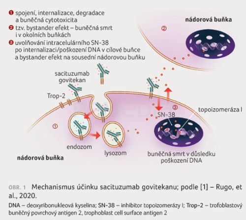 Sacituzumab govitekan