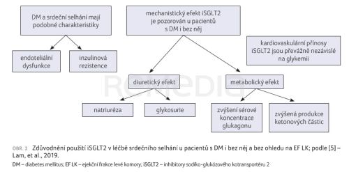 Empagliflozin v terapii srdečního selhání bez ohledu na ejekční frakci levé komory