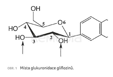 Inhibitory SGLT2 (3. část) – glukuronidace jako hlavní cesta biotransformace gliflozinů