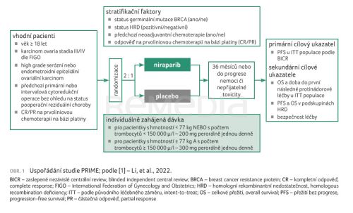 Léčba niraparibem prodloužila přežití bez progrese – studie PRIME