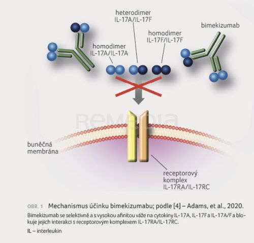 Bimekizumab